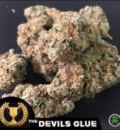 Devil's Glue
