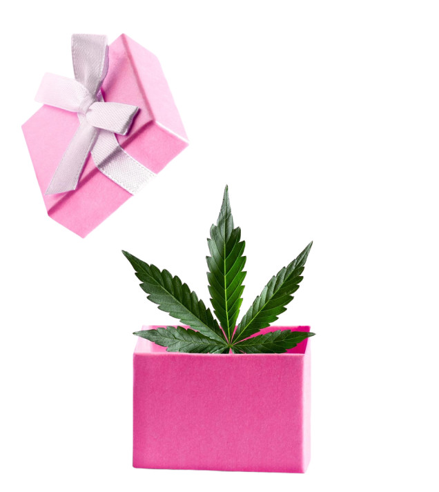 Gift