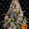 Strawberry Cheesecake Auto SALE