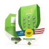Watermelon Automatic SALE