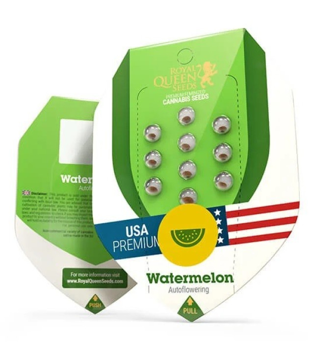 Watermelon Automatic SALE