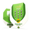 Haze Berry Auto SALE