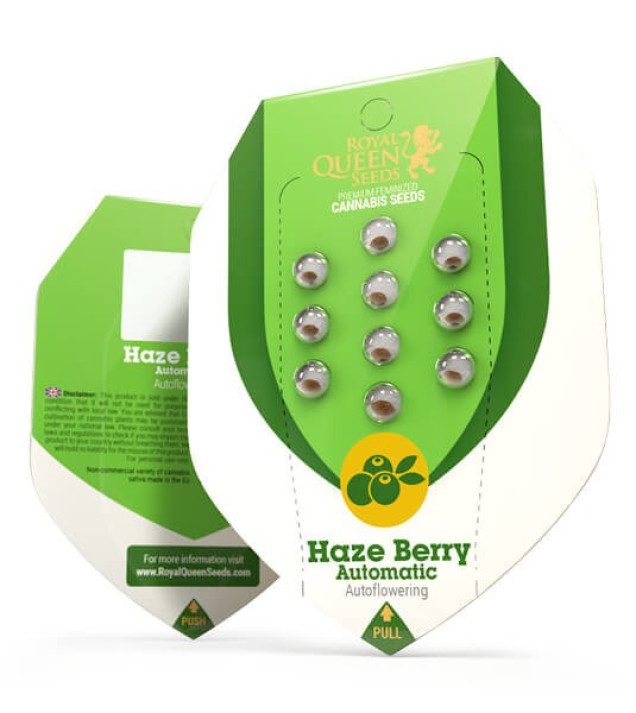 Haze Berry Auto SALE