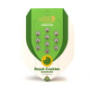 Royal Cookies Autoflowering SALE