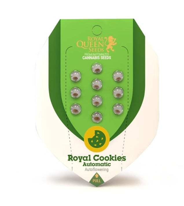 Royal Cookies Autoflowering SALE