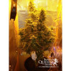 Amnesia Haze Automatic SALE
