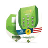 Cookies Gelato Auto SALE