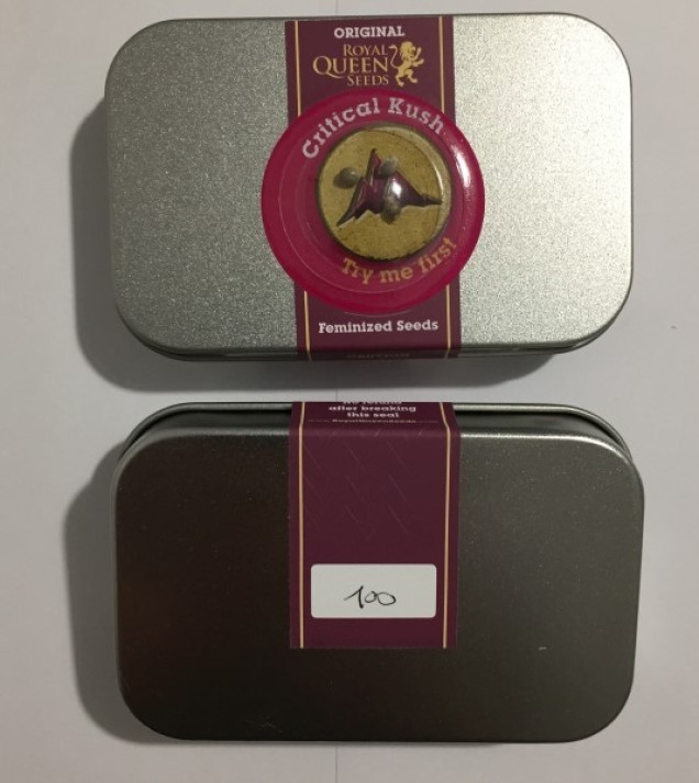 Critical Kush SALE