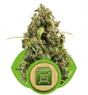 Diesel Automatic SALE