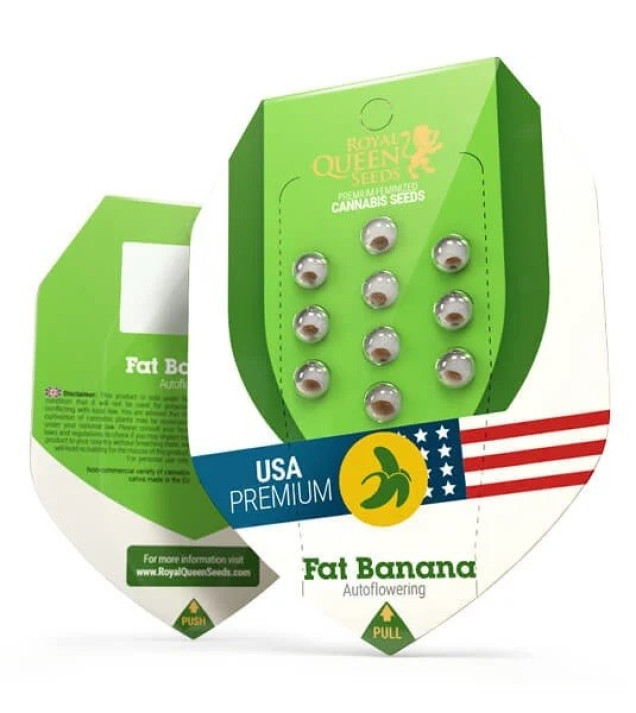 Fat Banana Automatic SALE