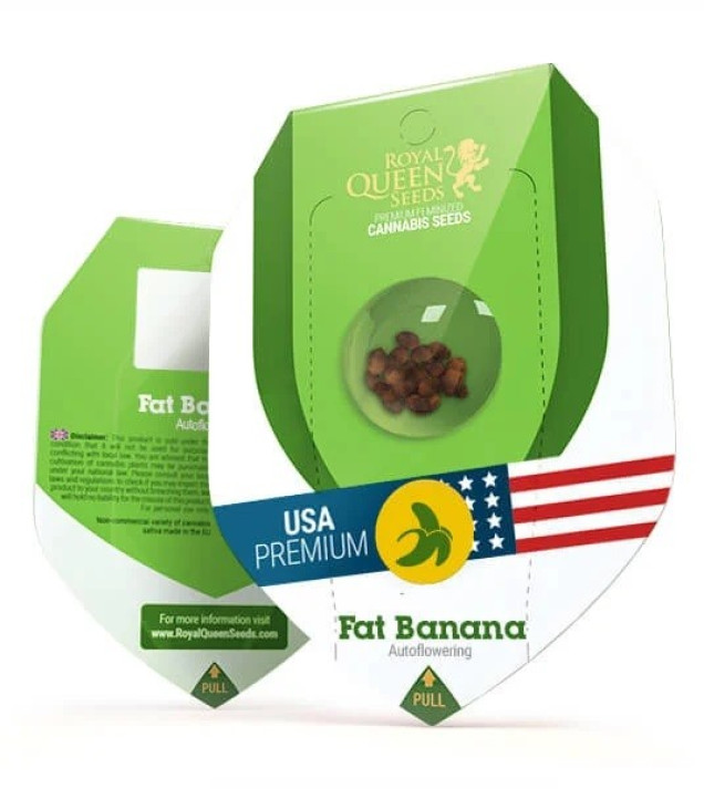 Fat Banana Automatic SALE