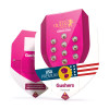 Gushers SALE