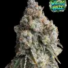 Wifi OG Haze