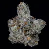 Lemon Fever