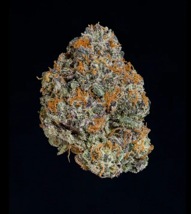 Potion