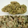 Auto SFV OG SALE