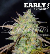 Marmalate Early Version