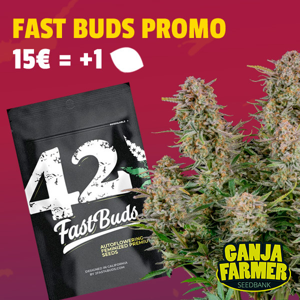 Free Fast Buds seed from 15€