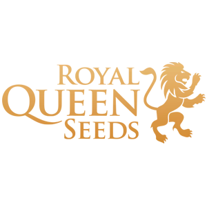 Royal Queen Seeds