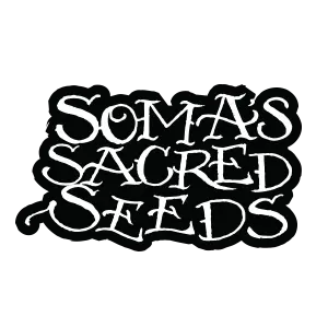 Soma Seeds