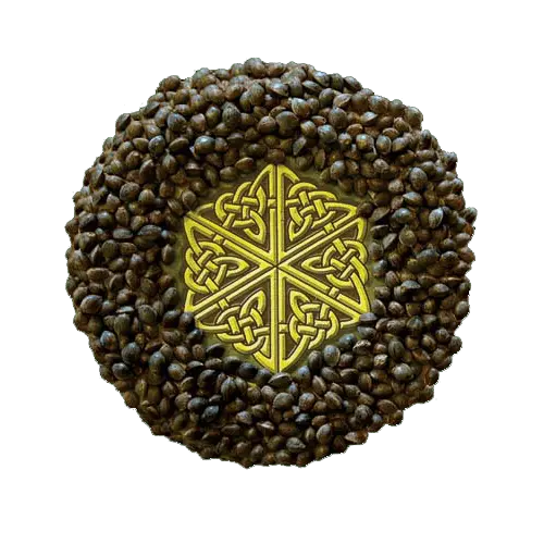 Mandala Seeds