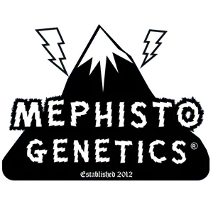 Mephisto Genetics